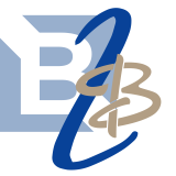 B2BNic